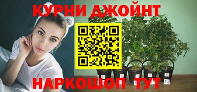 прущие крисы Обь