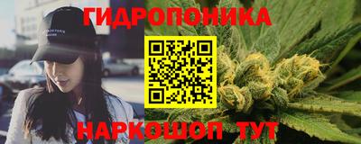 прущие крисы Обь