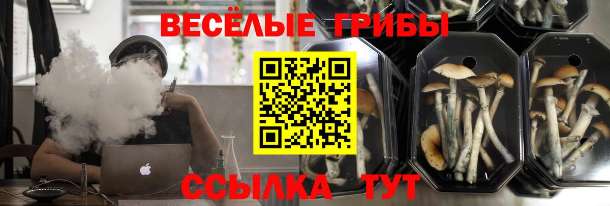 Псилоцибиновые грибы мухоморы  Галлюциногенные грибы прущие грибы  Вход с VPN  Асбест 